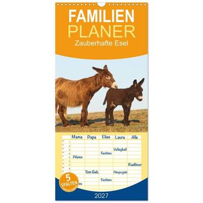 Familienplaner 2027 - Zauberhafte Esel mit 5 Spalten (Wandkalender, 21 x 45 cm) CALVENDO