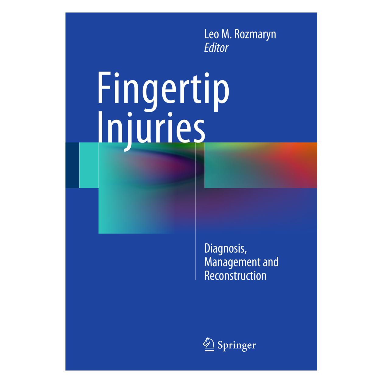 Springer Fingertip Injuries (Englisch, Hardcover, Leo M. Rozmaryn) (9783319132266)