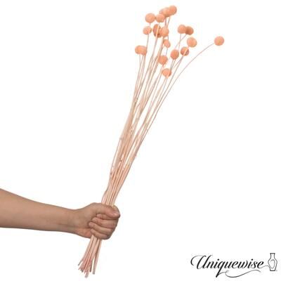 Uniquewise Preserved Real Floral Stems Chic Vase Fillers & Accents for Bouquets Centerpieces & Ornamental Displays