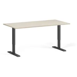 Höhenverstellbarer Schreibtisch, 2 Motoren, 74-121 cm, Tischplatte 160x80 cm, schwarzes Metallgestell, Birke