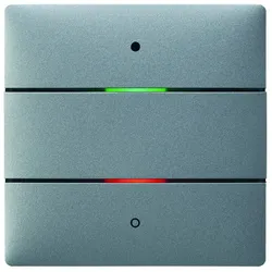 Theben 4969252 KNX-Tastsensor mit 2 Tasten und 2 Status-LEDs, integrierter Temperatursensor, KNX Data Secure, Farbe silber iON 102 KNX SR