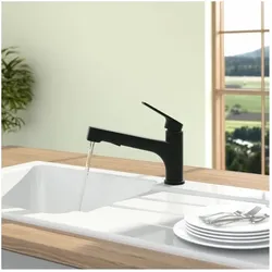 Villeroy und Boch Junis Shower Küchenarmatur 92810006 schwenkbarer Strahlregler, matt Black