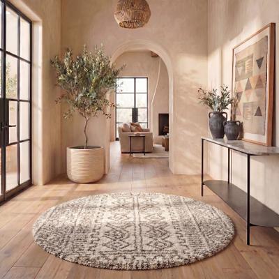 SAFAVIEH Hudson Shag Friedy 2-inch Thick Rug