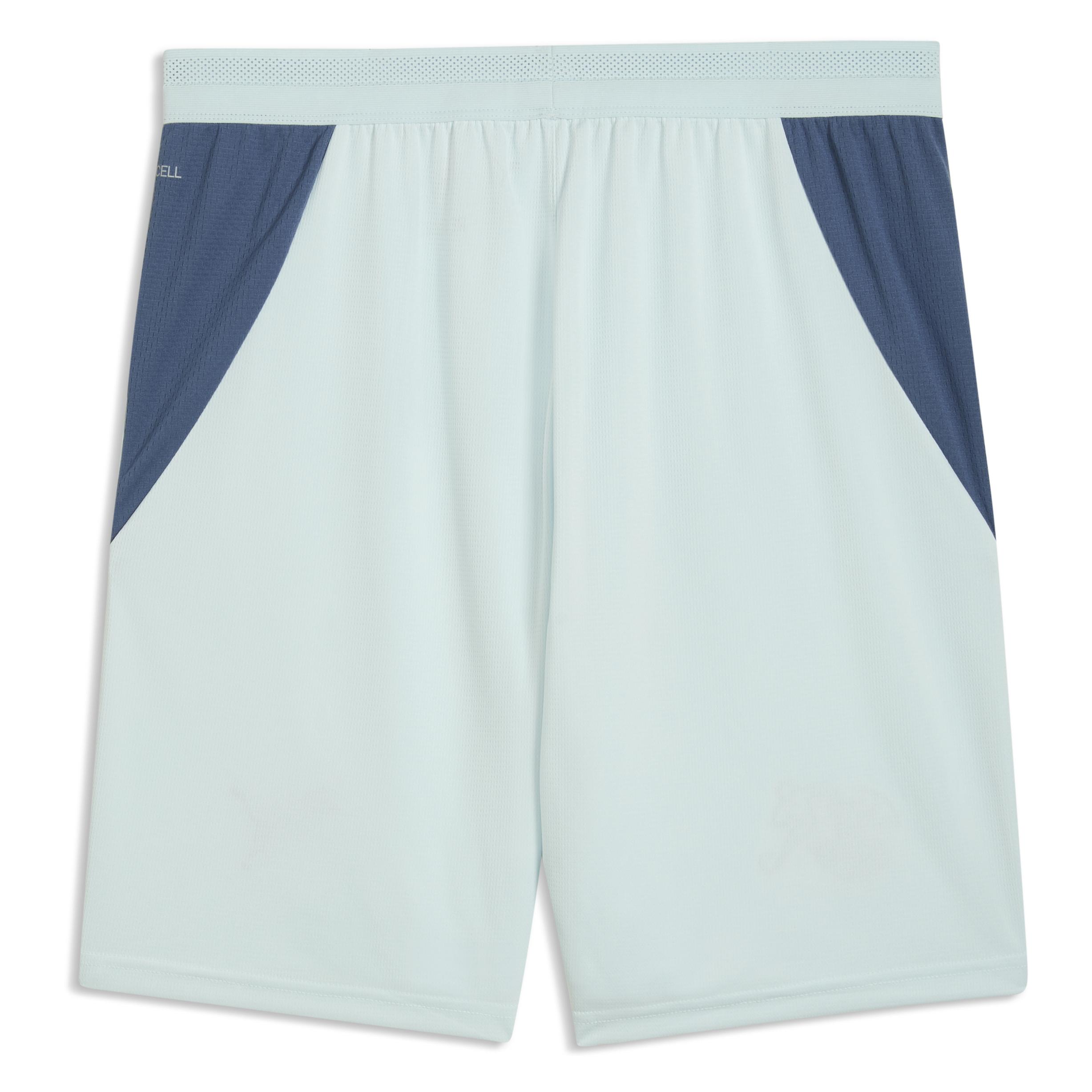 Puma SFV Shorts Replica (XL) (783233)