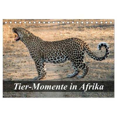 Tier-Momente in Afrika (Tischkalender 2026 DIN A5 quer), CALVENDO Monatskalender