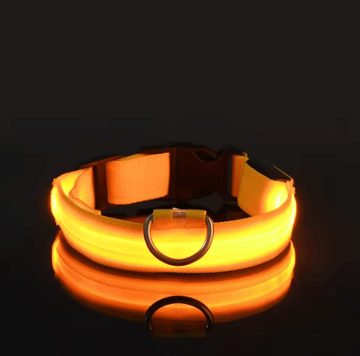 Uplift Curations Nylon Luminous Dog Leash And Glow In The Dark Dog Collar LED Safety Pet Leash For Night Walking yellow m