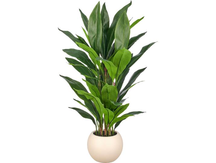 Kunstpflanze CREATIV GREEN Aspidistra elatior , grün, H:115cm, Obermaterial: 75% Polyester, 25% Kunststoff, Kunstpflanzen, Kunstpflanze, in beeindruckender Größe