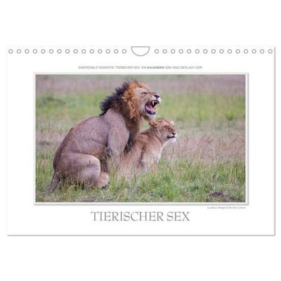 Emotionale Momente: Tierischer Sex. (Wandkalender 2027 DIN A4 quer), CALVENDO Monatskalender