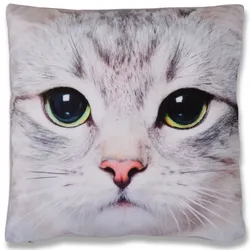 Bestlivings Kissenbezug Fotodruck Motiv in 40x40 cm, Flauschig weiche Kissen-Hülle in vielen Motiven erhältlich ( Design: Katze )