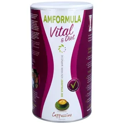 Amformula Diet Cappuccino Pulver 490 g