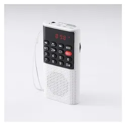 We-Vibe RADIO DE POCHE rechargeable FM, lecteur de carte micro SD RMS 3W, prise casque B (FM), Radio