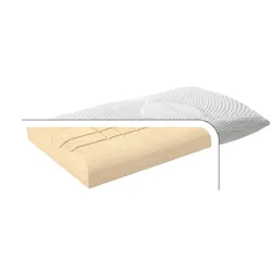 Femira Kissen Bio-Kaltschaum