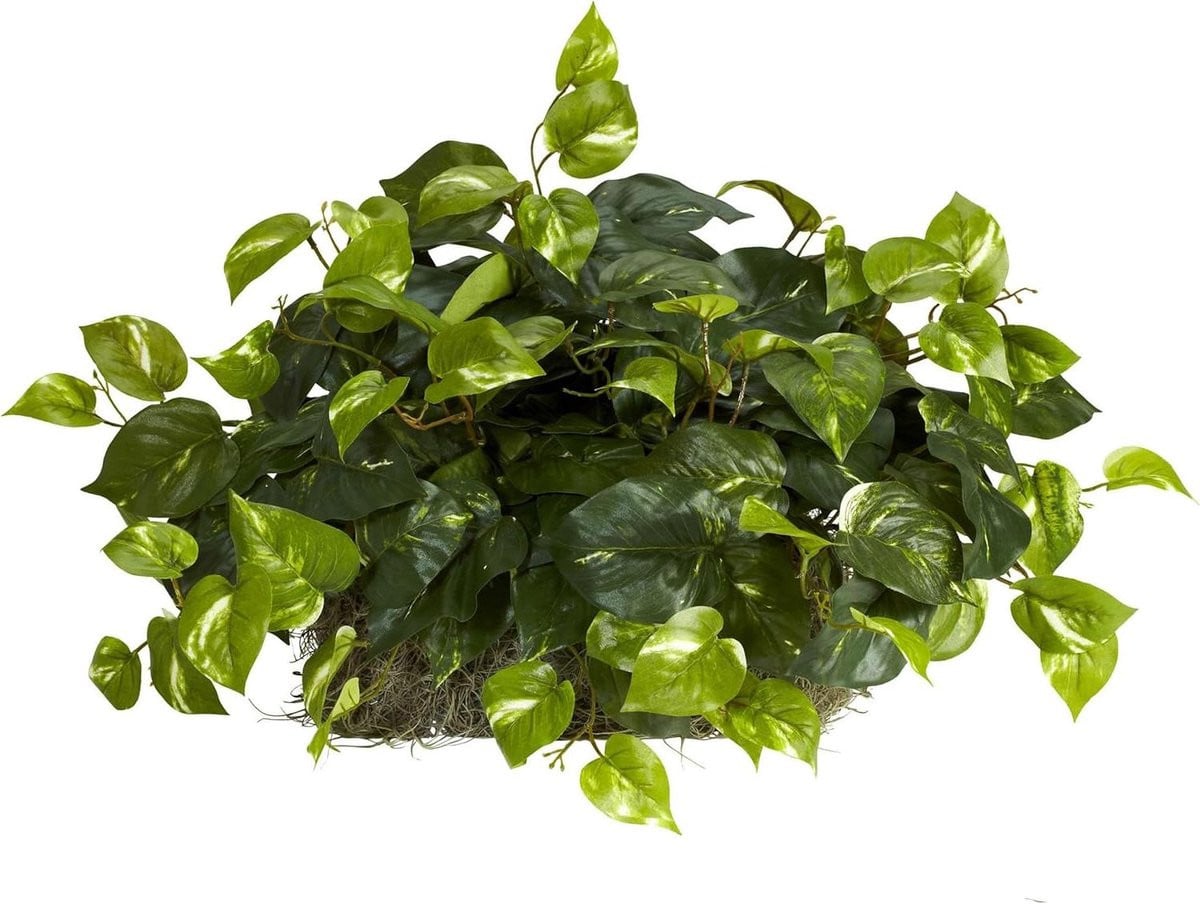 Richel Zijden Pothos Kunstplant - Groen - 15 inch Hoog