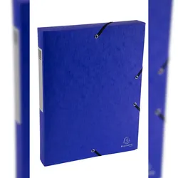 Exacompta 50810E 10x Archivboxen Scotten, Rücken 40mm mit Etikett, aus Colorspan-Karton 600g/qm, DIN A4 - Farben sortiert