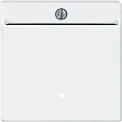 Merten Card-Schalter pws 315419