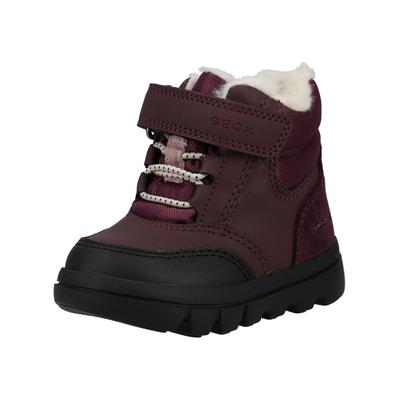 Stiefelette GEOX "Geox Stiefelette Lederimitat/Textil", Damen, Gr. 23, Textil, lila (burgundy), Lederimitat, Textil, Schuhe Stiefelette