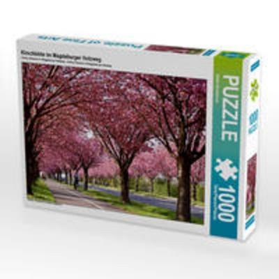 CALVENDO Puzzle Kirschblüte im Magdeburger Holzweg | 1000 Teile Lege-Größe 64x48cm Foto-Puzzle für glückliche Stunden
