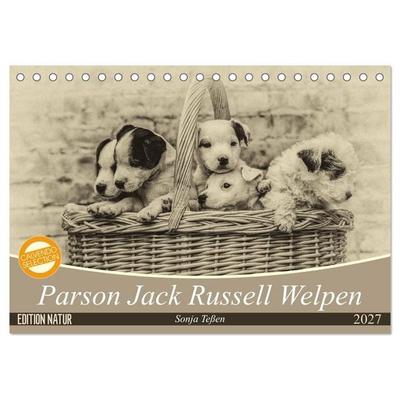 Parson Jack Russel Welpen (Tischkalender 2027 DIN A5 quer), CALVENDO Monatskalender