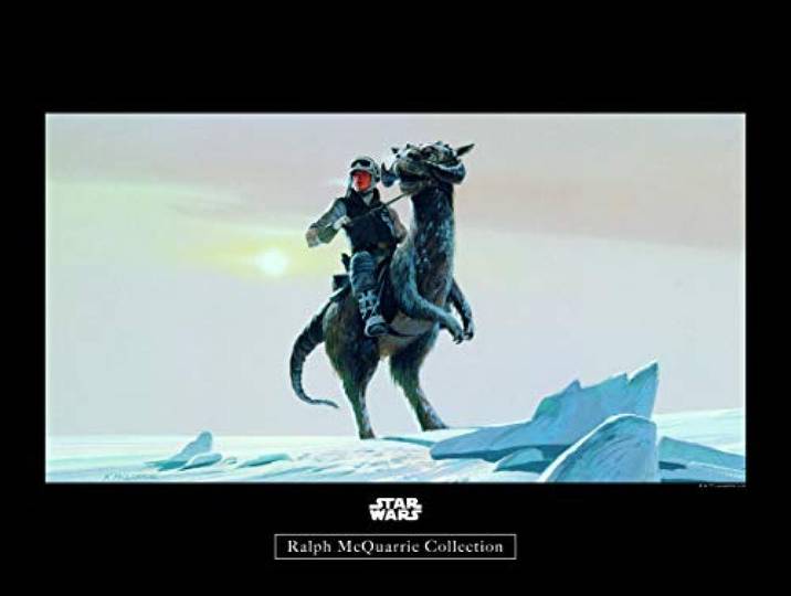 Komar Wandbild Star Wars Classic RMQ Hoth Tauntaun Kinderzimmer, Jugendzimmer, Dekoration, Kunstdruck ohne Rahmen WB149-40x30 Größe: 40 x 30 cm (Breite x Höhe)