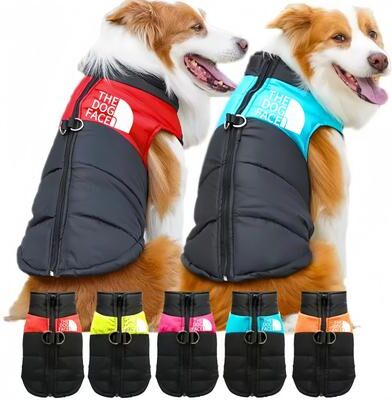 Uplifted Finds Dog Fashion Sports Outdoor Hoodie Coat light Green s