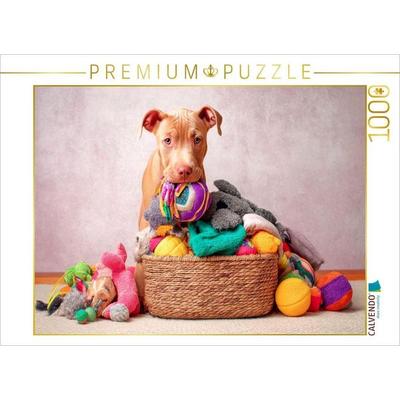 CALVENDO Puzzle Pitbull - Spielzeugparadies | 1000 Teile Lege-Größe 64 × 48 cm Foto-Puzzle für glückliche Stunden, von , Calvendo Puzzle