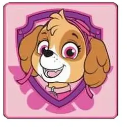 Paw Patrol magisches Handtuch Skye