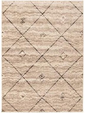 ECARPETGALLERY Devos Casual & Transitional Rug