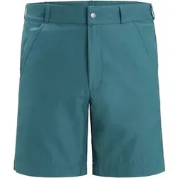 ICEBREAKER Herren Shorts, Größe 32 in Grün Grün