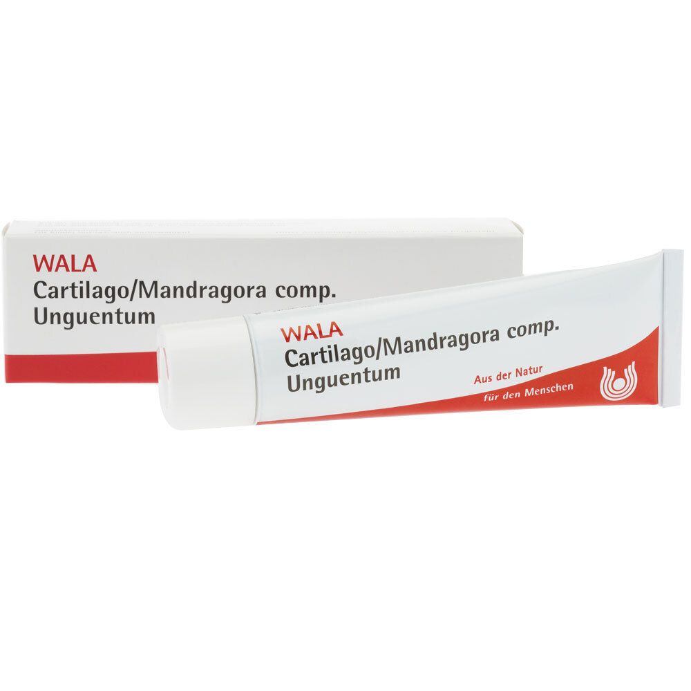 CARTILAGO/Mandragora comp Unguentum 100 g Salbe