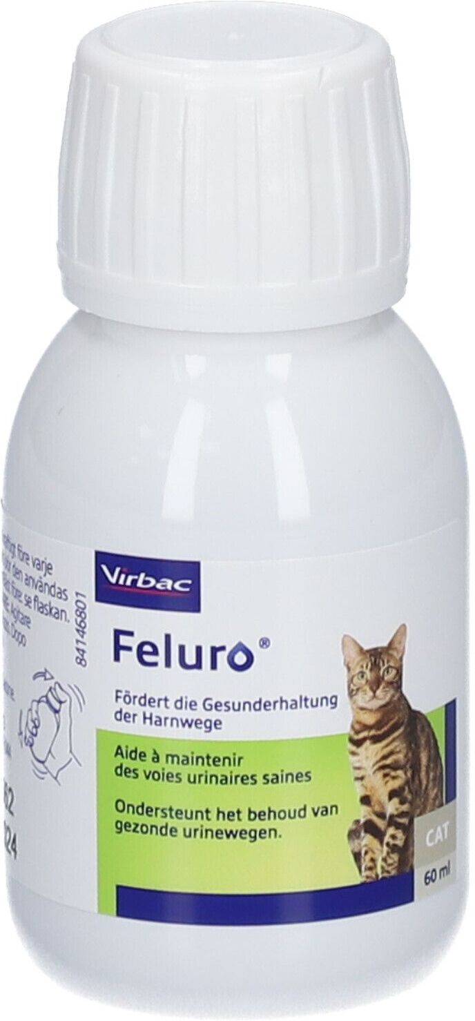 Feluro Orale Susp Katze 60 ml Suspension
