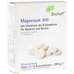 Magnesium Brausetabletten 300 30 St