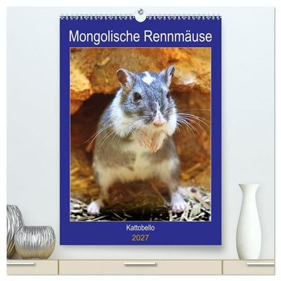 Mongolische Rennmäuse (hochwertiger Premium Wandkalender 2027 DIN A2 hoch), Kunstdruck in Hochglanz