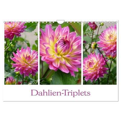 Dahlien-Triplets (Wandkalender 2027 DIN A4 quer), CALVENDO Monatskalender