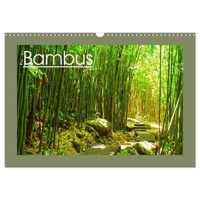 Bambus (Wandkalender 2026 DIN A3 quer), CALVENDO Monatskalender