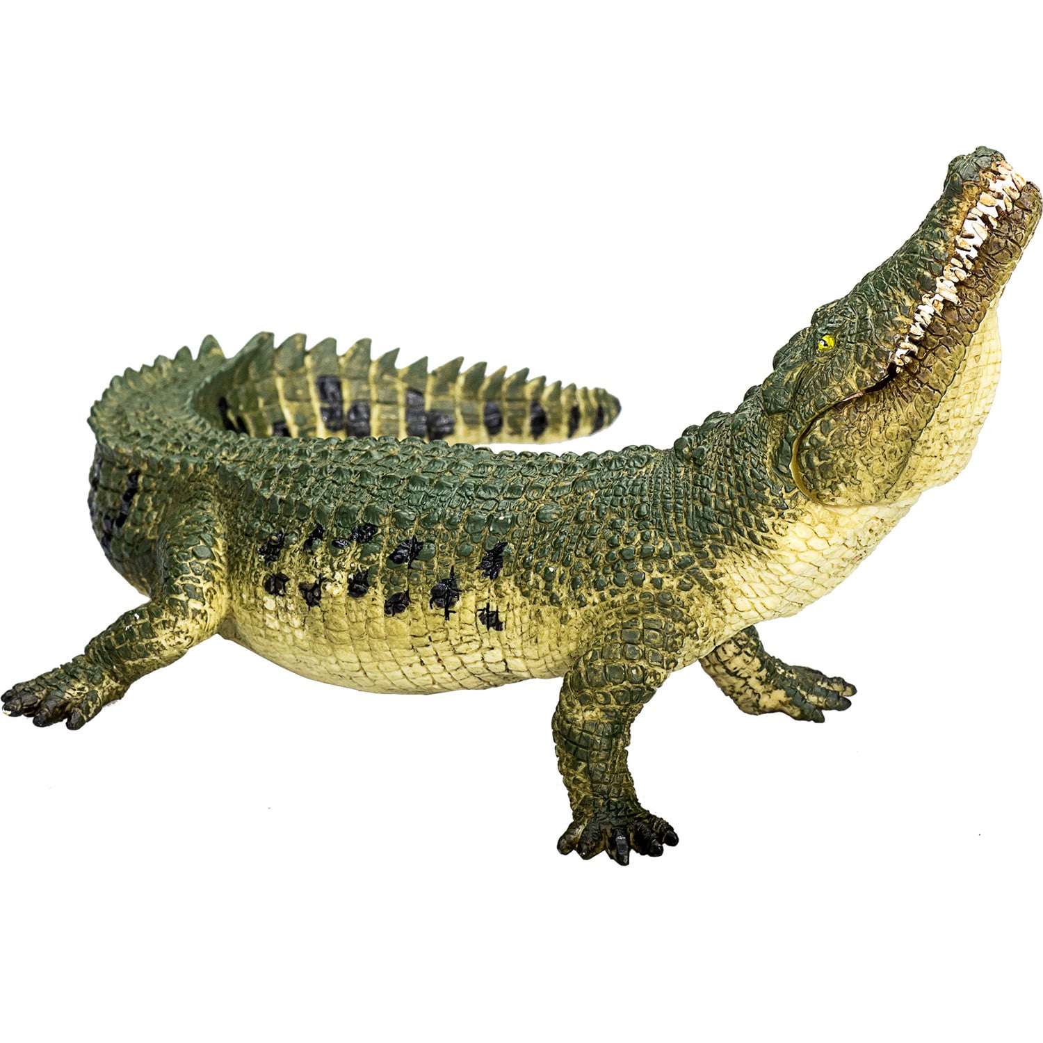 Animal Planet Krokodil met beweegbare kaak klein model