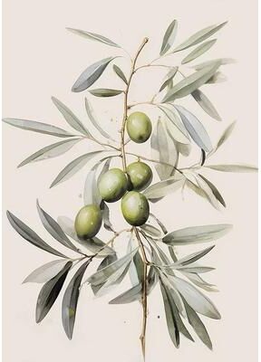 Uplift Picks Vintage Olive Tree And Lemon Canvas Poster Botanical Wall Art Print 05 50x80 Cm
