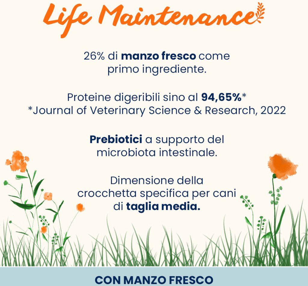 Almo Nature Life Maintenance Adult Medium con Manzo Fresco 12 kg Crocchette per Cani di Taglia Media