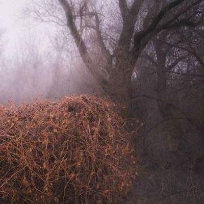 Nincs Szennyezetlen Sz'p - The Devils Trade, CD