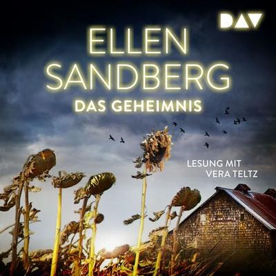 Das Geheimnis - Ellen Sandberg, Audio, 9783742420480