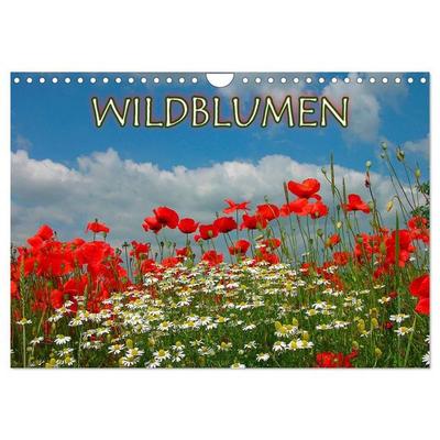 Wildblumen 2027 (Wandkalender 2027 DIN A4 quer), CALVENDO Monatskalender