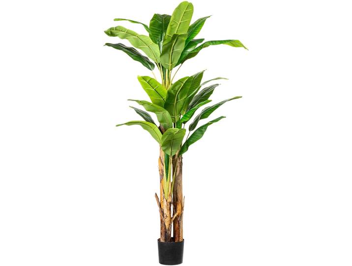 Kunstpalme CREATIV GREEN Bananenpflanze , grün, H:180cm, Kunststoff, Kunstpflanzen, Kunstpalme