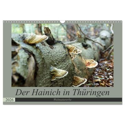 Der Hainich in Thüringen - Weltnaturerbe (Wandkalender 2026 DIN A3 quer), CALVENDO Monatskalender