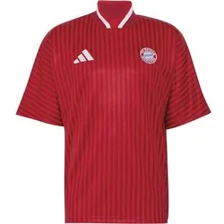 ADIDAS Herren Trikot FC Bayern München Trikot, Größe S in Braun Braun