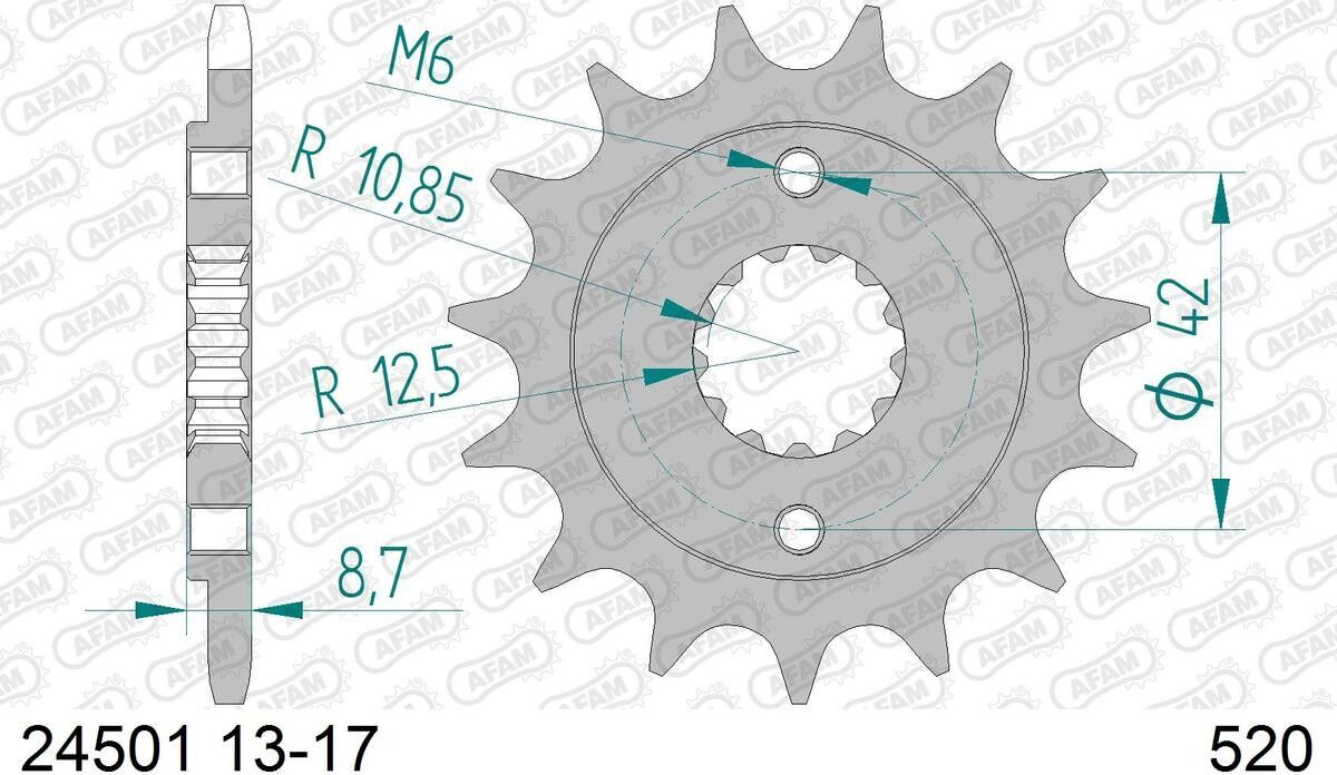 AFAM 24501-16 Chain Pinion