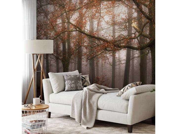 Fototapete Foggy Autumn Forest 3 x 2cm