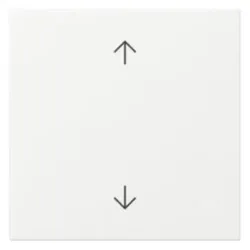 Gira Wippe 1-teilig Schalter reinweiß Pfeile System 55 361603