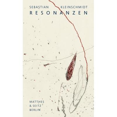 Resonanzen, Gebundene Ausgabe von Sebastian Kleinschmidt, Matthes & Seitz, 978-3-7518-2123-0
