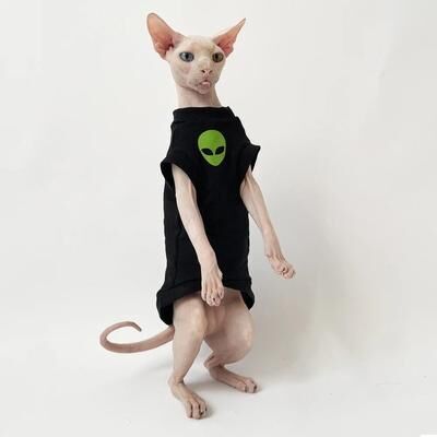 Uplift Picks Soft Cotton Sphynx Cat Shirt For Winter Comfort xxl