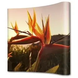 Showdown Displays Pop-Up Wand »Magnetisch Curved 3 x 3« - ohne Bezug