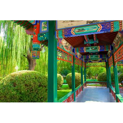 Fototapete PAPERMOON "PAVILLON-PEKING PERGULA GASSE PARK BLUMEN GARTEN BÄUME", bunt, B:5m L:2,8m, Vlies, Tapeten